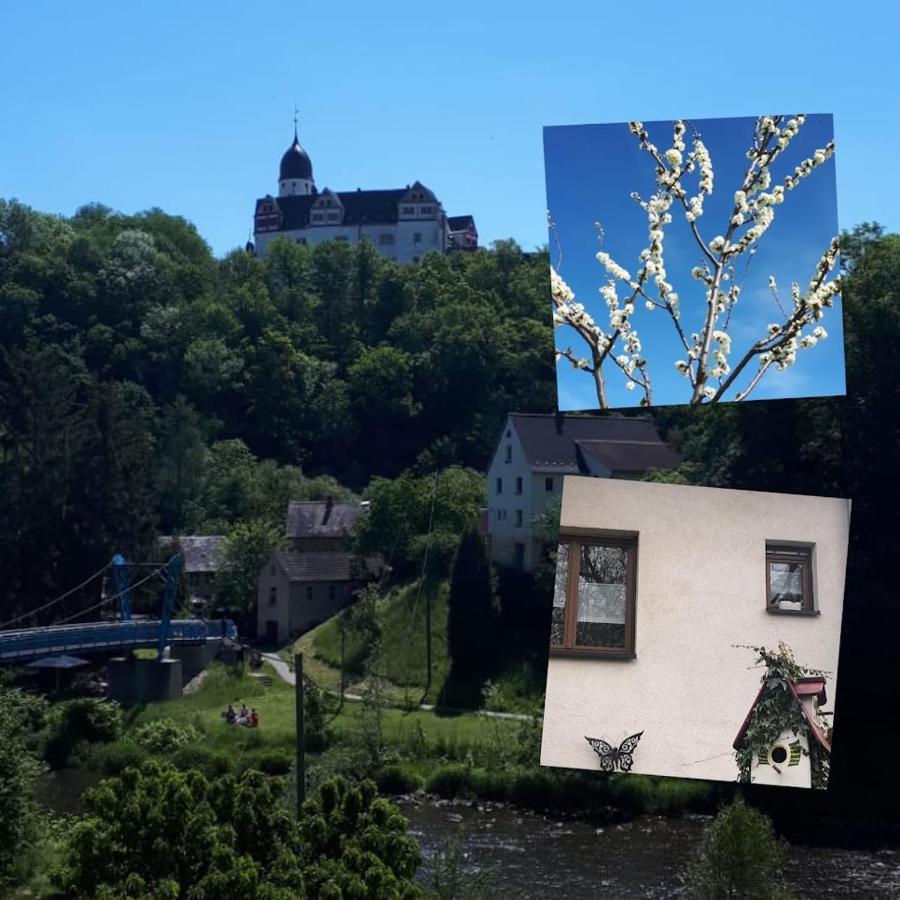 Ferienwohnung Shakira Penig Exteriör bild